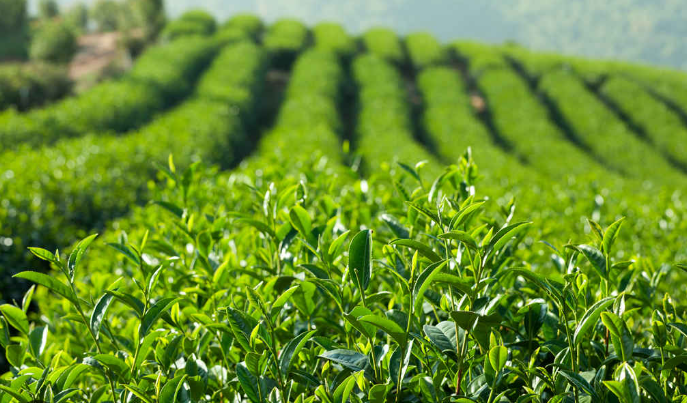 screenshot 2026 02 08 201524